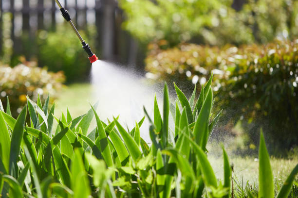 Tamper-Resistant Bait Stations for Rodents in Bellflower