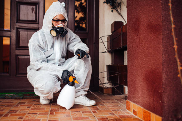 Attic and Crawl Space Rodent Treatment in Bellflower